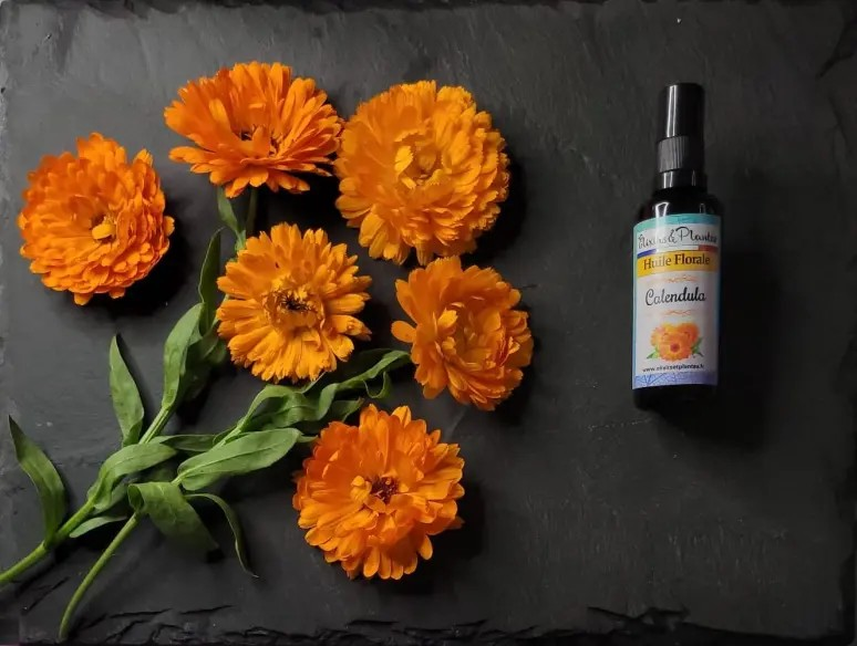 Huile au calendula 50ml