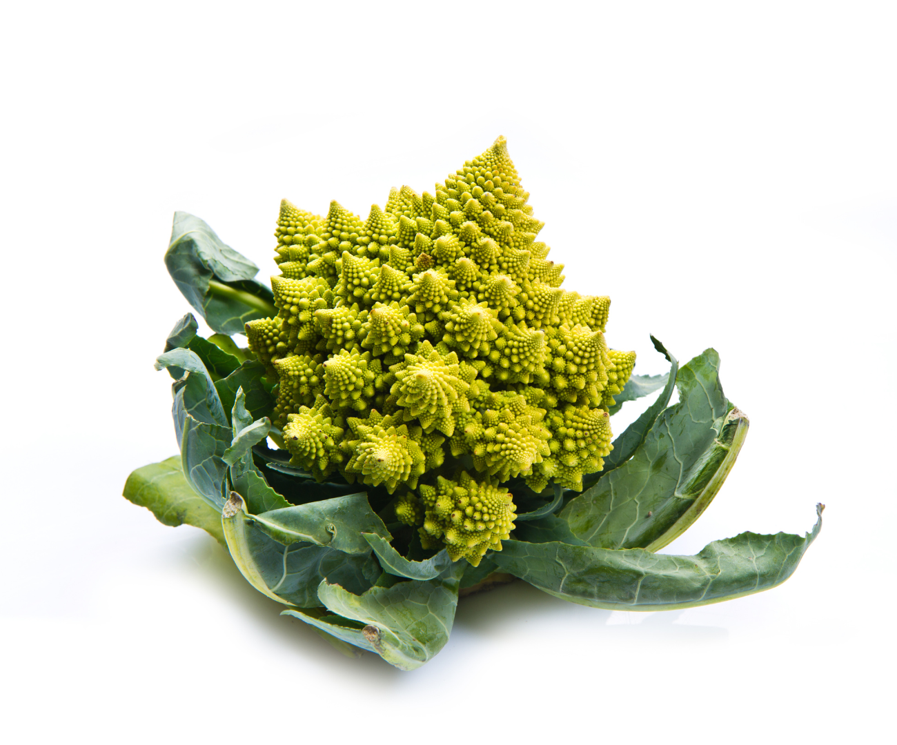 Chou romanesco 1 piece